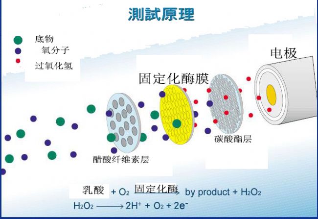 ����z�yԭ��