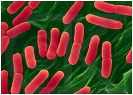 ���c��ϣ��