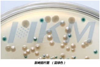 �����c�U��