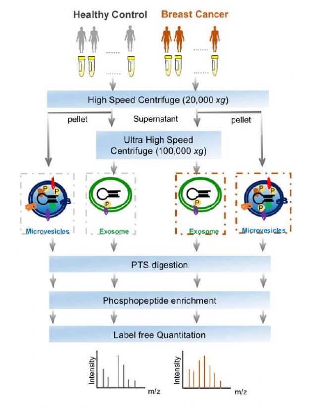 �п�������