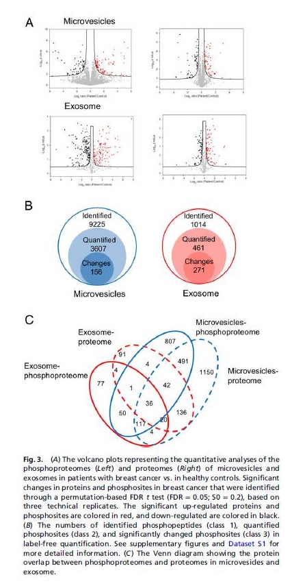 �п�������