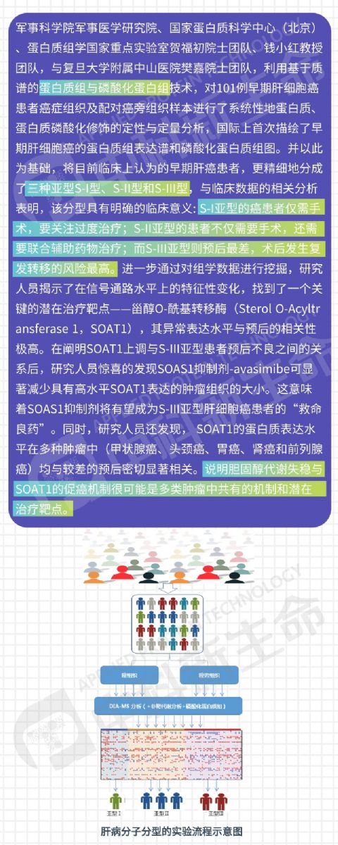 �п�������