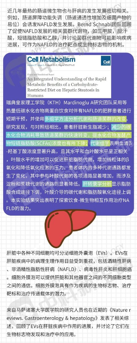 �п�������