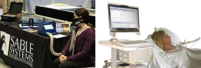 �׿�̩�������x�y(c��)�����g(sh��)�����w�������x�y(c��)��