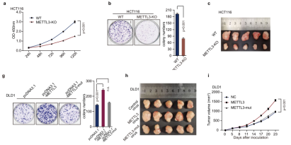 ettl3�T���ļ��������ه���ǽͽ���x
