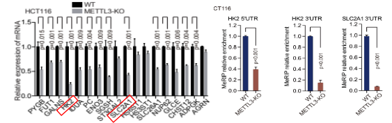 �з��ӱ��_�ͼ׻���ˮƽ��C