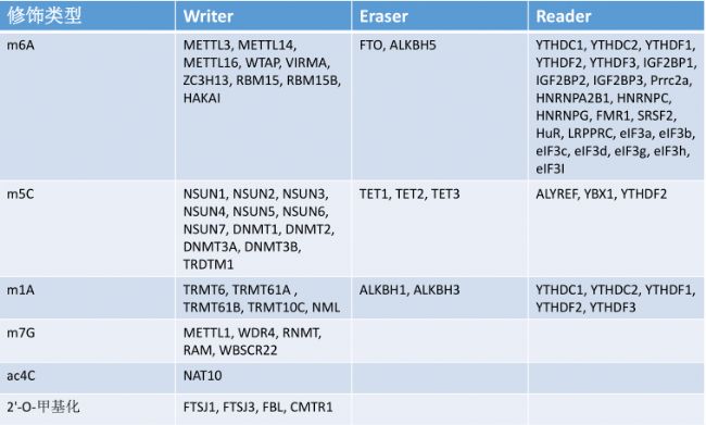 RNA ���оƬ�����б���68 ������-human