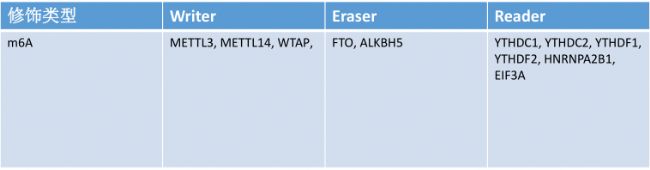 m6A���Pø�A�ϳɵ���(��)����/shRNA/siRNA��