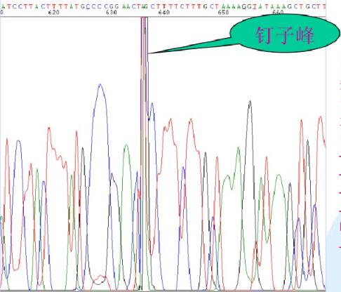 �y���D��ӷ�