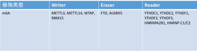m6A���P(gu��n)ø�A(y��)�ϳɵ���(��)����/shRNA/siRNA��