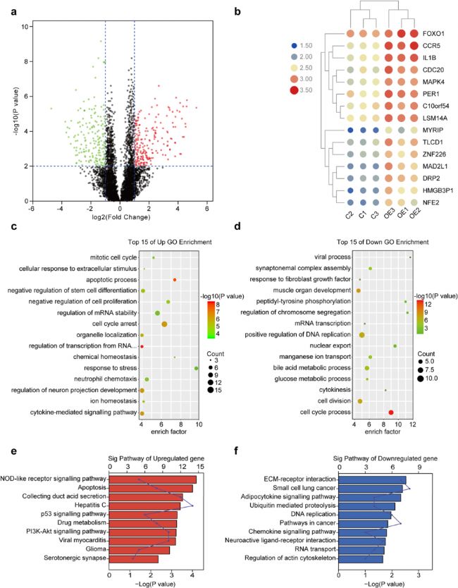 ALKBH5���͌�����ai�����D(zhu��n)䛽Mˮƽ��Ӱ�