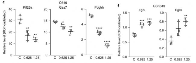 RNA-seq�����ó�Mettl14��(d��o)�½M���������ȫ����M������(n��i)�l(f��)����׃���Ķ�Ӱ푻�����_(d��)