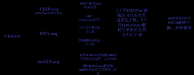 ���g(sh��)·��