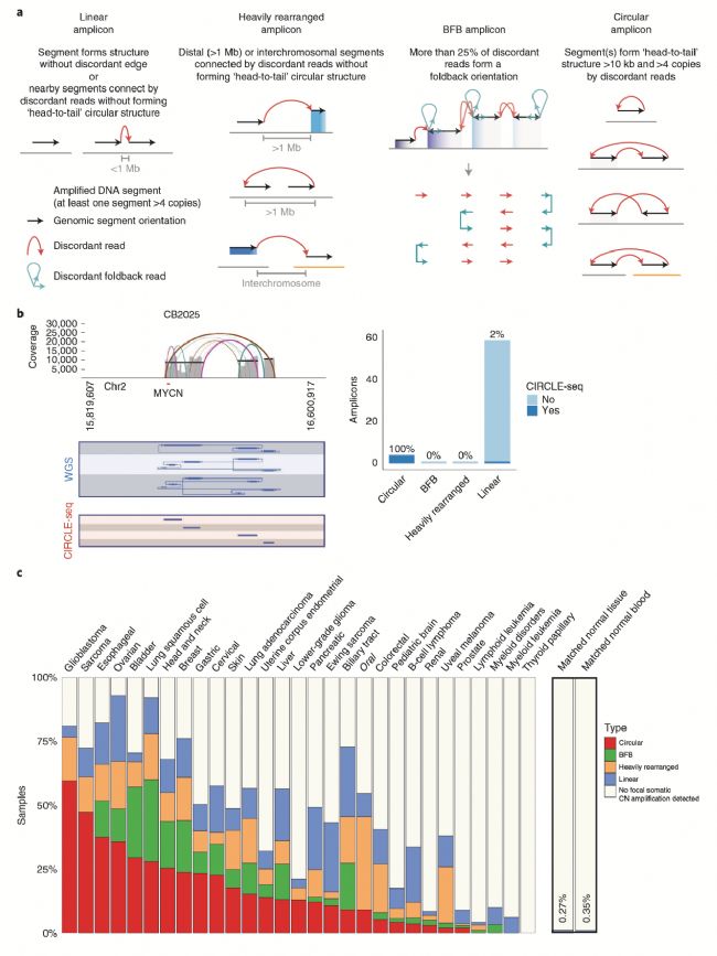  �[ ���c���[ ���M���ĭh(hu��n)�͔U(ku��)���Ӱl(f��)���l��