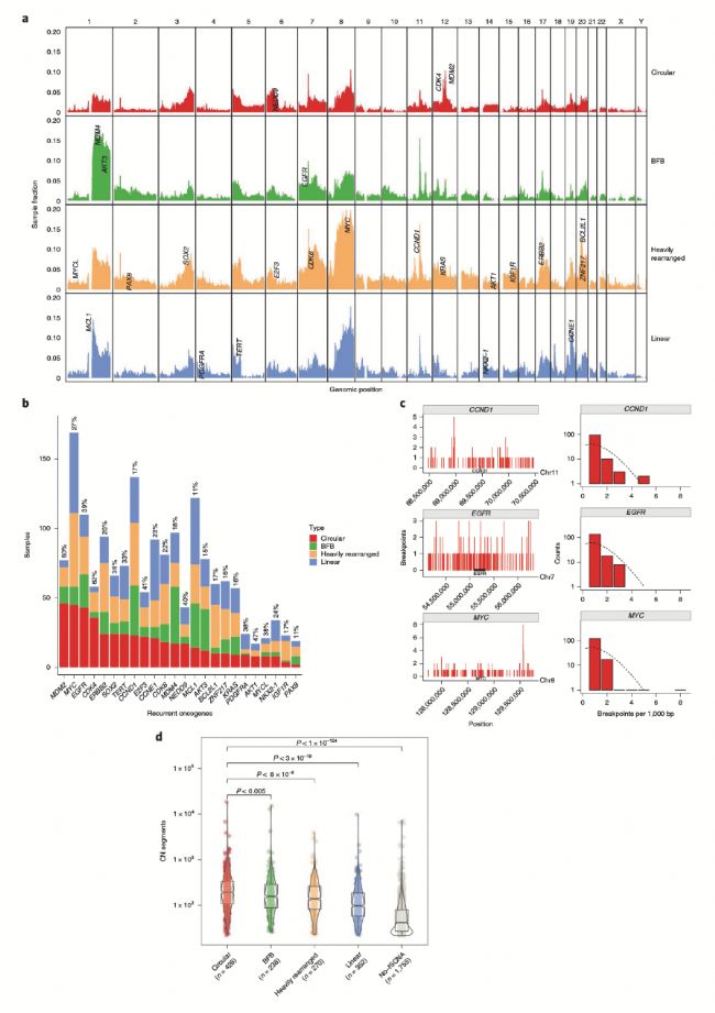 �h(hu��n)�͔U(ku��)���ӵ�ai�������ͽY(ji��)��(g��u)�ɷ�