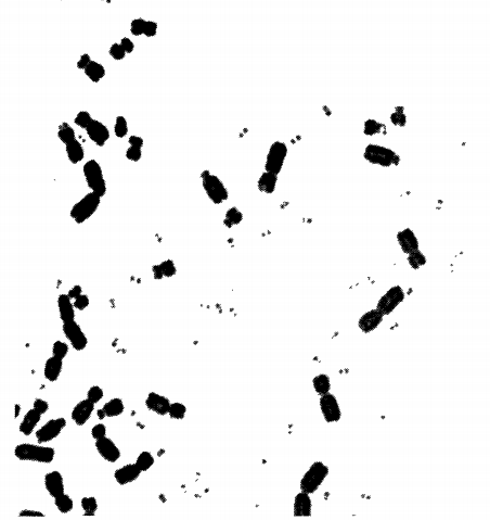 ���ԃ�ͯ�����[ ����(x��)���е��p΢�w