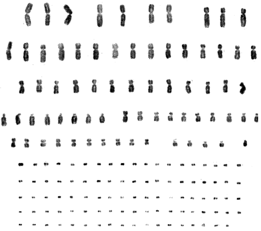 ���ԃ�ͯ�����[ ����(x��)���е��p΢�w