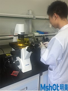 ���ßɹ��@΢�R