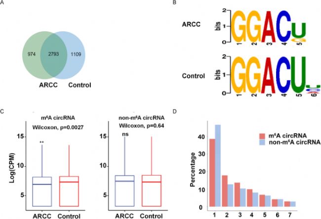 �׃�(n��i)�ϻ��߭h(hu��n)��RNA��m6A���_�b��