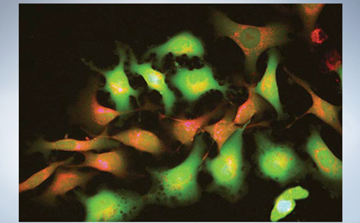 �����@΢�R�W�ְ�˹CKX53�c�῵TS2�ă�(y��u)�c(di��n)���^