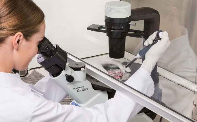 �W�ְ�˹�@΢�RCKX53��Ҋ���}����Q�k��