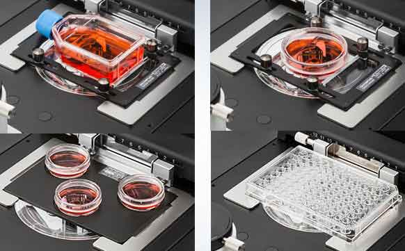 �W�ְ�˹�@΢�RCKX53��Ҋ���}����Q�k��