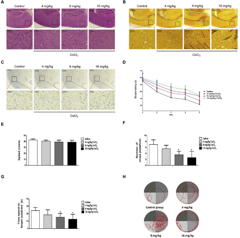 ��1��CoCl2������(j��ng)ϵ�y(t��ng)�Ĳ�������(j��ng)�О�p��