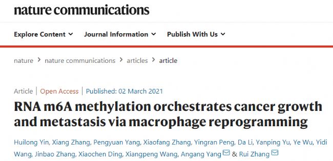 ��RNA m6A methylation orchestrates cancer growth and metastasis via macrophage reprogramming��