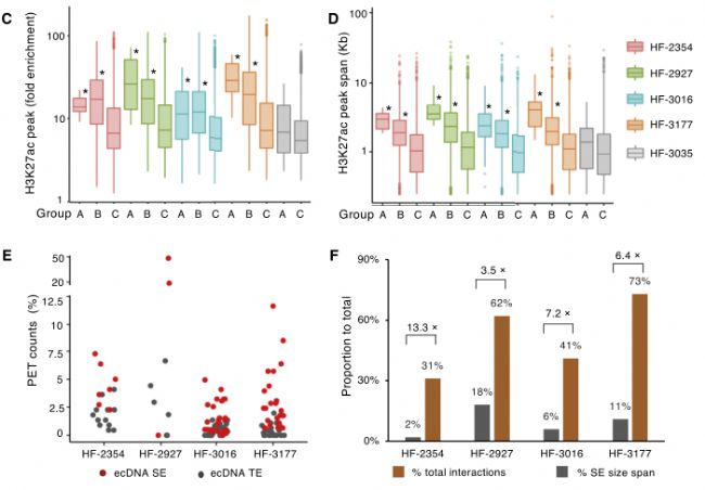 3.EcDNA��������(qi��ng)����̖���c���D(zhu��n)䛻��ԵĻ������P(gu��n)