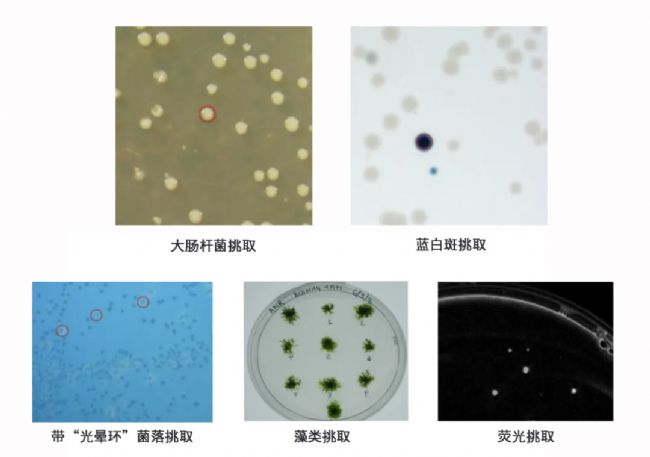 �՚v�жȿ��Ŷ��������Ԅ�����