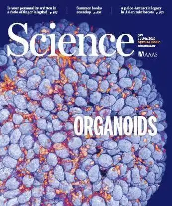 �֙C(j��)��Ļ�؈D�Ϳ��Ŷ��������Ԅ�����