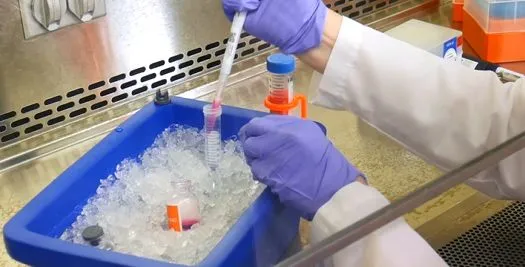 ��ˢ���������жȿ��Ŷ��������Ԅ�����