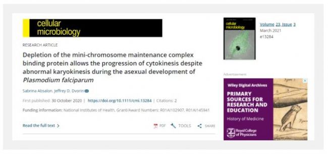 �@΢�REcho������һ�w�@΢�R 