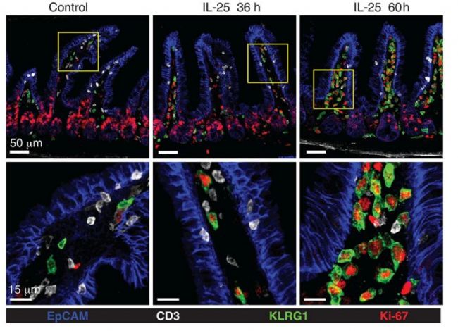 �Dʾ�������Ԅ�(d��ng)����