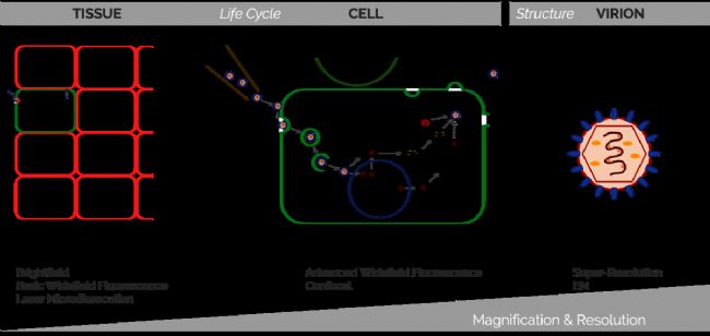 �D1: �����ɏĽM�����΂������w���Ĳ�ͬ�����M���^�졣�����@�N��������Ҫ���@�ķŴ󱶔�(sh��)�ͷֱ�����������о��ˆT�x����һ�N�m��������Ҫ���@΢�R���g��