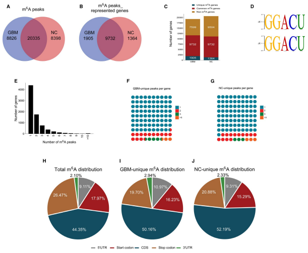 ��1���׻���ˮƽ���w����