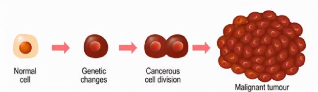 ��߀���Â�����(x��)������(sh��)�(y��n)���@���c(di��n)��Ҫ֪��