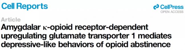 ��Ƚ�����P(gu��n)���������О��о���KORs�����ʺ˵������˵�Ͷ���P(gu��n)ϵ