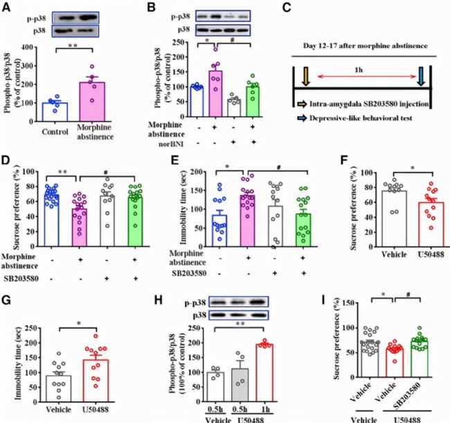 ��Ƚ�����P(gu��n)���������О��о���KORs�����ʺ˵������˵�Ͷ���P(gu��n)ϵ