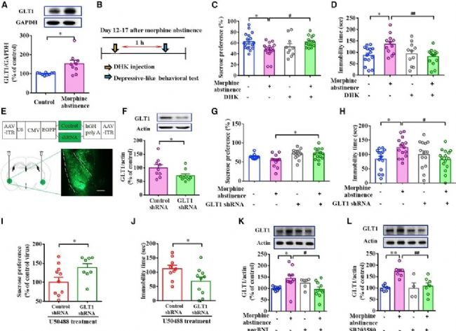 ��Ƚ�����P(gu��n)���������О��о���KORs�����ʺ˵������˵�Ͷ���P(gu��n)ϵ