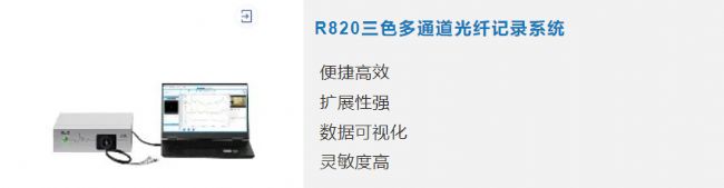 ��Ƚ�����P(gu��n)���������О��о���KORs�����ʺ˵������˵�Ͷ���P(gu��n)ϵ