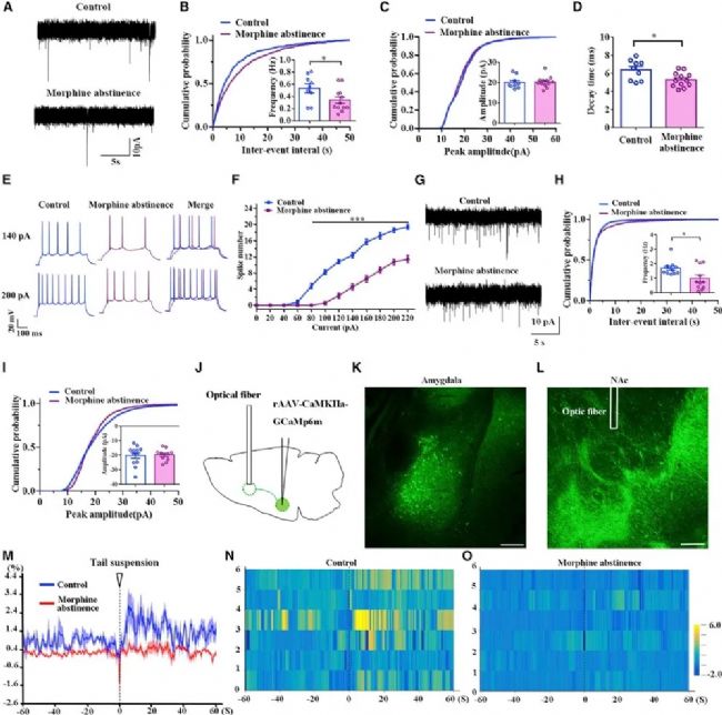 ��Ƚ�����P(gu��n)���������О��о���KORs�����ʺ˵������˵�Ͷ���P(gu��n)ϵ