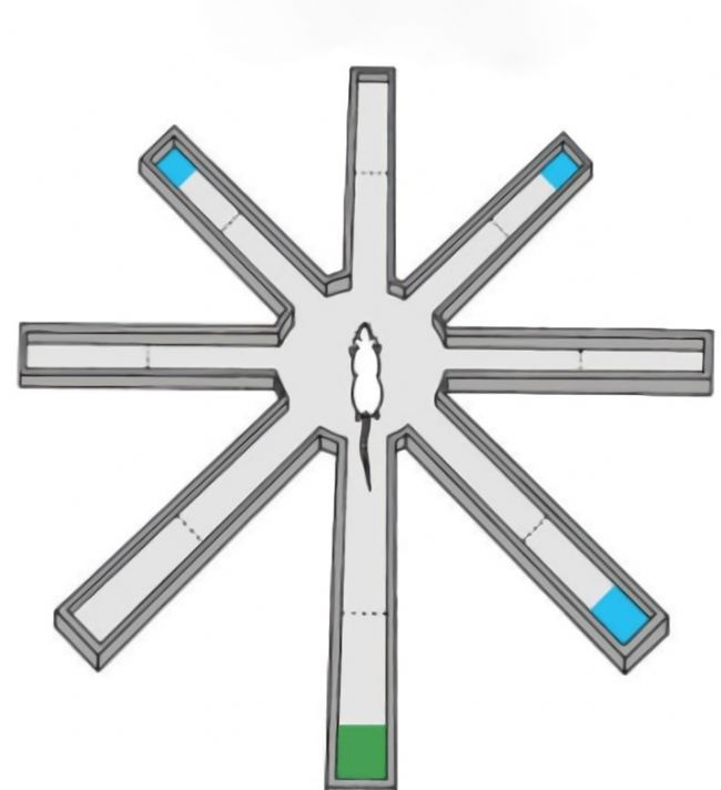 �f(shu��)��: https://mmbiz.qpic.cn/mmbiz_png/PClsyLq29sWVRfvLnIEwXrfJvIYXk2aquW7RHXBnoNCyy7vFAAO30UZlibGfAbtcA0M7Zt8D2IFdp3MR6cFicTDA/640?wx_fmt=png