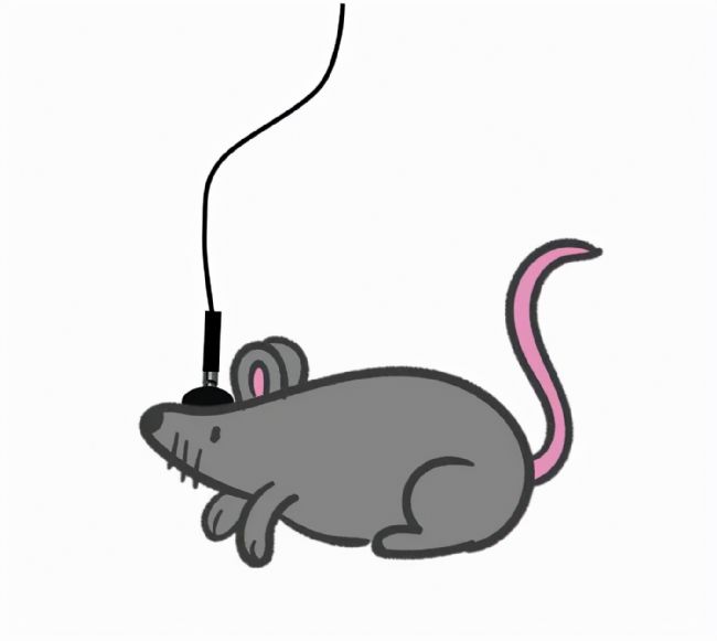 ����x�����wӛ䛌��ĺĲ�������_�����Ч�ʵ���̖��ݔ��