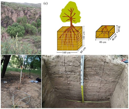 ABB LGR|̽������֦�lˮ�c����ˮ֮�g��ͬλ��ʧ��F(xi��n)��