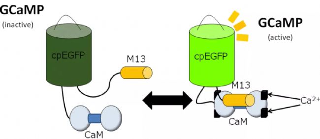 ���wӛ�Ԕ����һ�Ď���Ԕ��(x��)�˽���wӛ䛌�(sh��)�(y��n)