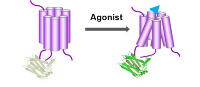 ���wӛ�Ԕ�⣬һ�Ď���Ԕ��(x��)�˽���wӛ䛌�(sh��)�(y��n)