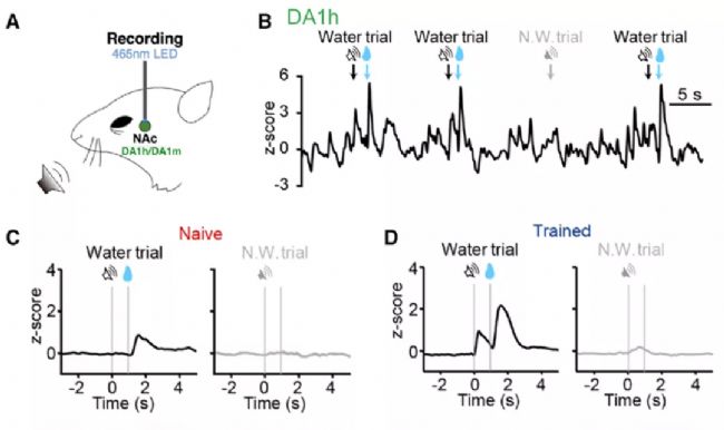 ���wӛ�Ԕ����һ�Ď���Ԕ��(x��)�˽���wӛ䛌�(sh��)�(y��n)