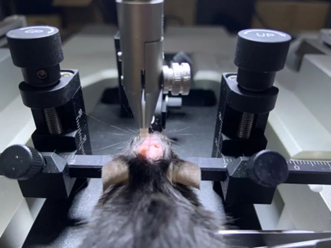 ���wӛ�Ԕ����һ�Ď���Ԕ��(x��)�˽���wӛ䛌�(sh��)�(y��n)