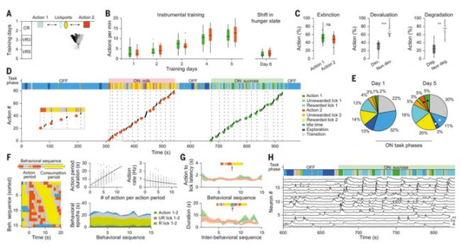 С���ڌW(xu��)��(x��)�������О顢Ŀ��(bi��o)��(d��o)���О�r(sh��)BLA PNs��Ca2+����-�ϲ�����